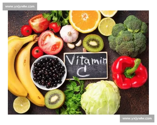 全面营养补给方案助力健康生活 提升免疫力与体能的关键要素分析 全面营养补给方案助力健康生活 提升免疫力与体能的关键要素分析